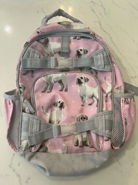 Pottery Barn Kids Backpack